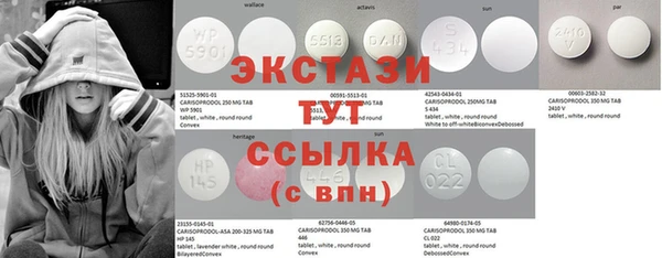 шишки Дубовка