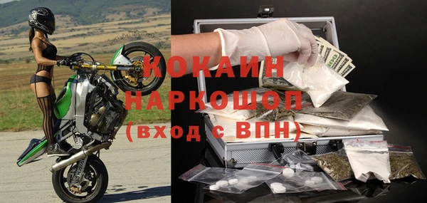 дмт Снежногорск