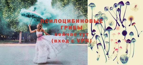 ГАЛЛЮЦИНОГЕННЫЕ ГРИБЫ Каменка