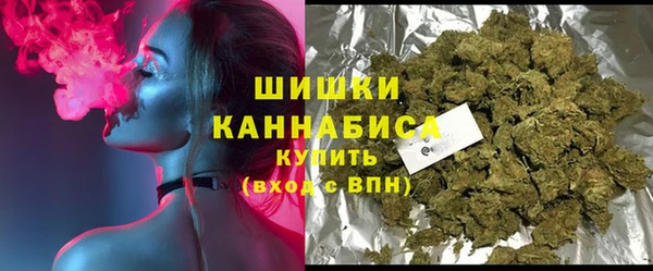 дмт Снежногорск