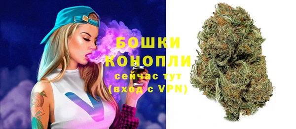 мдпв Дрезна
