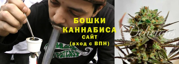 бошки Слюдянка