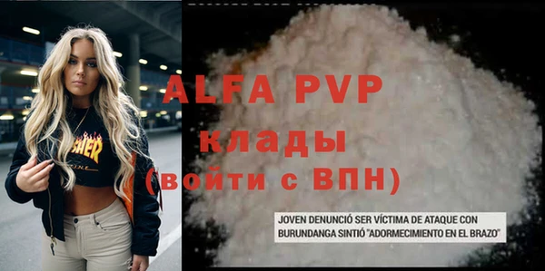 ГАЛЛЮЦИНОГЕННЫЕ ГРИБЫ Каменка